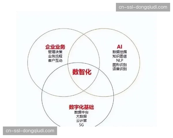 数字化升级阶段侧重于流程再造，促使采、编、播三个环节在云端实现无缝衔接
