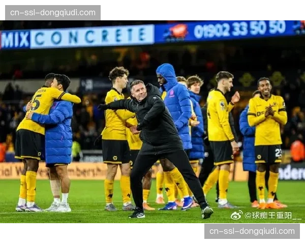 布莱顿对阵狼队上半场1-1战平，库库雷利亚送点